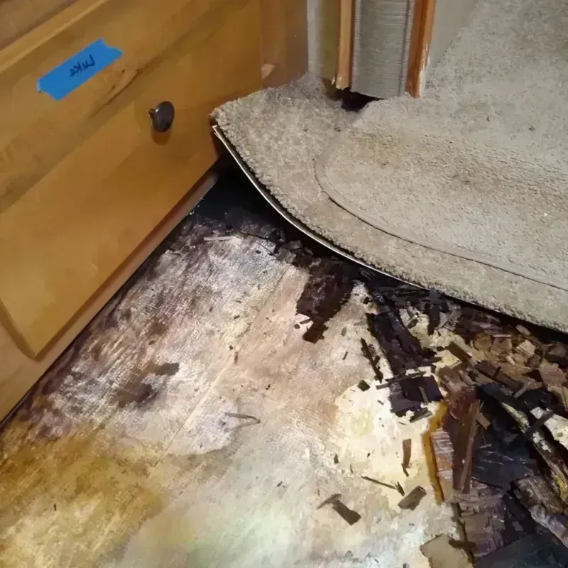 Best Wood Floor Water Damage Service in Douglas, AZ